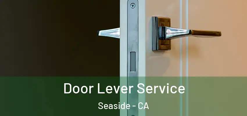  Door Lever Service Seaside - CA