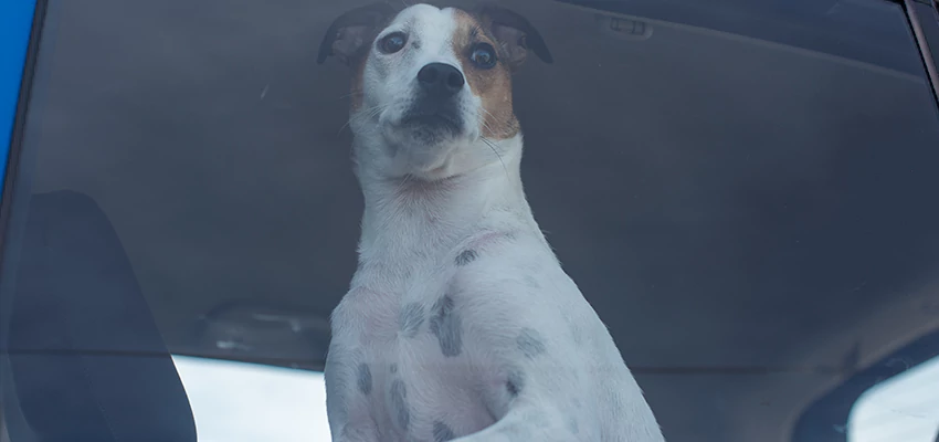 Car Lockout Solutions in Seaside, California